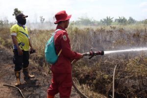 Pemerintah Optimalkan Mitigasi Hadapi Karhutla