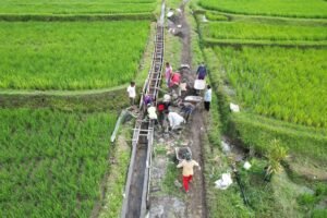 Swasembada Pangan Bukti Konkret Pemerintah Wujudkan Kemandirian Bangsa