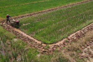 Pemerintah Terus Dukung Peran Pengusaha Lokal Wujudkan Swasembada Pangan Melalui Alsintan Daerah