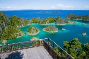 Pemerintah Dorong Pengelolaan Tambang Ramah Lingkungan di Wilayah Raja Ampat