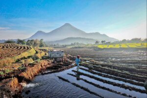 Pembaharuan Infrastruktur Dukung Program Swasembada Pangan Pemerintah