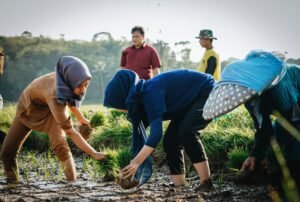 Keberadaan Organisasi Tani Perkuat Program Swasembada Pangan untuk Kesejahteraan Petani