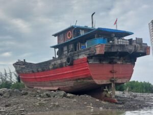 Pemerintah Dorong Kolaborasi Lintas Kementerian dan Lembaga Cegah Penyelundupan