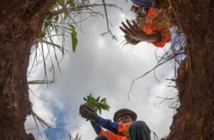 Hilirisasi Nikel Hijau Dorong Pertambangan Berkelanjutan