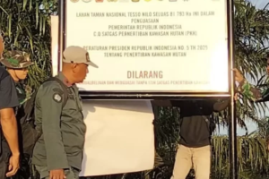 Pemerintah Bentuk Tim Gabungan untuk Lindungi Taman Nasional Tesso Nilo
