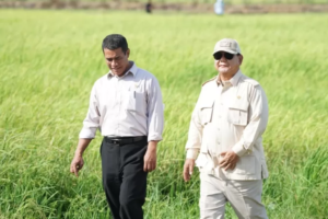 Cadangan Pangan Tertinggi Sepanjang Sejarah, Presiden Prabowo Buka Babak Baru Kemandirian Bangsa