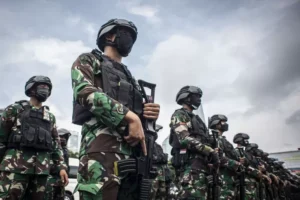 TNI Pastikan Keamanan Papua Terjaga dari Ancaman OPM