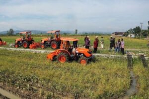 Pemerintah Siapkan Langkah Terpadu Dorong Swasembada Pangan