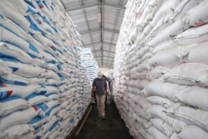 Pemerintah Percepat Swasembada Pangan Lewat Infrastruktur dan Pupuk