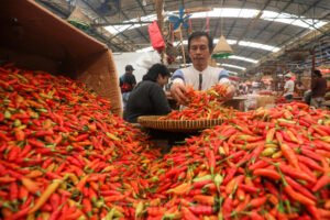 Harga Cabai dan Telur Terkendali di Sejumlah Daerah Jelang Nataru