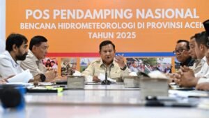 Penanganan Terpadu Pemerintah Dorong Pemulihan Sumatera