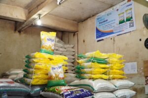 Penguatan Stabilitas Pangan Papua: Pemerintah Percepat Distribusi Beras SPHP Menjelang Nataru