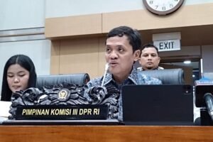KUHPKUHAP Baru Dinilai Jawaban atas Reformasi Hukum Nasional