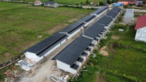 Huntara Siap Huni, Pemerintah Percepat Transisi Penyintas Bencana