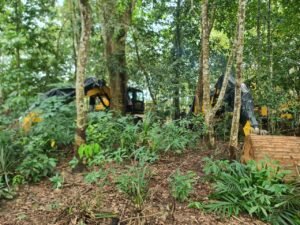 Satgas PKH Tegaskan Kehadiran Negara Jaga Kedaulatan Kawasan Hutan