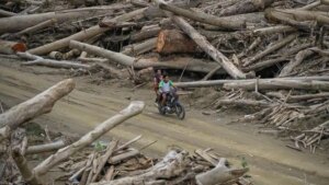 Pemerintah Terus Bersihkan dan Salurkan Kayu Gelondongan untuk Pemulihan Akses dan Permukiman