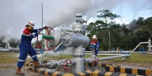 Swasembada Energi, Motor Efek Berganda bagi Kesejahteraan Rakyat