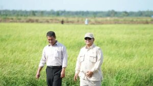 Swasembada Pangan Multi Komoditas: Dari Surplus Produksi Menuju Kedaulatan Sistemik