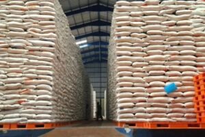 Di Tengah Dampak Global, Stok Beras Nasional Dipastikan Aman