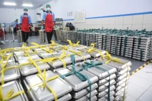 Pemerintah Siapkan Tim Optimalisasi MBG Fokus ke Anak Kurang Gizi