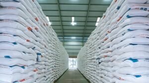 Cadangan Beras Menguat, Ancaman Global dan El Nino Terkendali