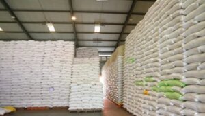 Ketahanan Beras Indonesia di Tengah Tekanan Global dan Iklim