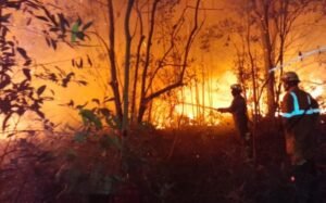 Dari Antisipasi ke Aksi: Strategi Nasional Pengendalian Karhutla