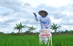 Harga Pupuk Subsidi Dijaga, Petani Tetap Terlindungi dari Dampak Global
