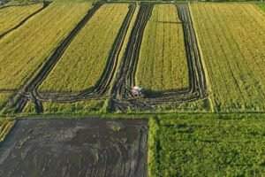 Cetak Sawah Papua Perkuat Ketahanan Pangan dan Buka Harapan Baru bagi Generasi Papua