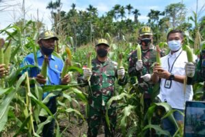 TNI Perkuat Ketahanan Pangan sebagai Pilar Pembangunan Papua
