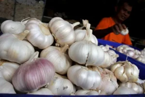 Presiden Prabowo Targetkan Indonesia Setop Impor Bawang Putih dalam 3 hingga 4 Tahun