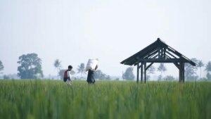 Kedaulatan Pangan Diperkuat lewat Optimasi Lahan dan Larangan Alih Fungsi Sawah