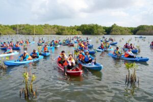 Ekonomi Hijau Diperkuat lewat Pemulihan Mangrove dan Pasar Karbon