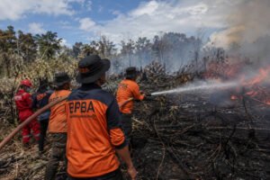 Upaya Pencegahan Karhutla Terus Digencarkan di Wilayah Rawan