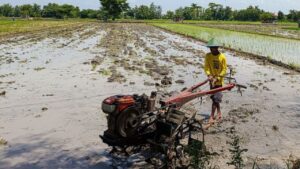 Pemerintah Siapkan Langkah Antisipatif Hadapi Dampak Krisis Iklim pada Pertanian