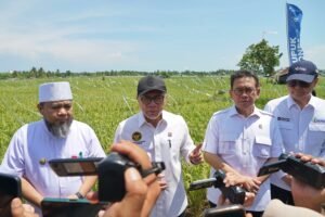 Sinergi Pusat, Daerah, dan Petani Wujudkan Ketahanan Pangan Nasional