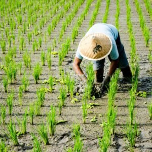 Menguatkan Desa, Menyejahterakan Petani, Mewujudkan Kedaulatan Pangan