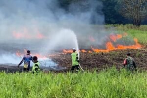 Sinergi Lintas Sektor Diperkuat untuk Cegah Karhutla