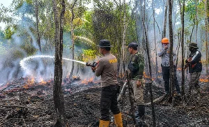 Negara Hadir, Karhutla Sumatra hingga Papua Ditangani Terpadu