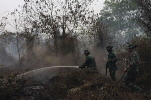 Negara Siapkan Dana Bencana untuk Lindungi Warga dari Karhutla