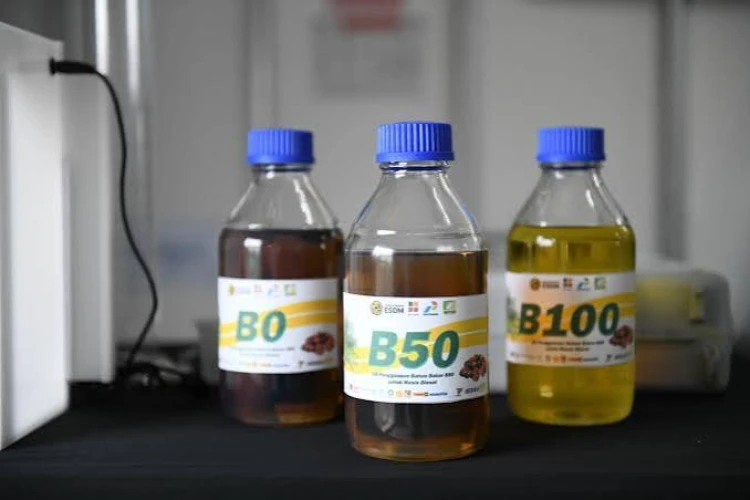 Pemerintah Perkuat Ketahanan Energi 2027 lewat B50, Bioetanol, dan EBT
