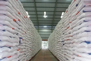 Pemerintah Perkuat BULOG untuk Jaga Swasembada Pangan dan Stok Nasional