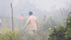 Negara Hadir, Prabowo Perkuat Komando Penanganan Karhutla 
Sumatra-Kalimantan