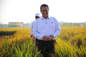 Harga Pangan Tetap Aman, Pemerintah Kawal Pasar Daerah Bencana