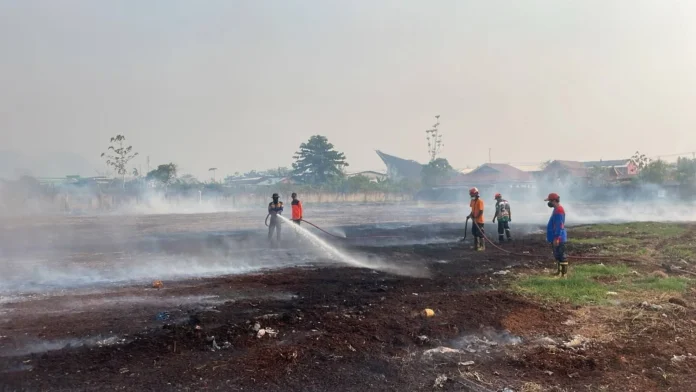 Pemerintah Perkuat Kesiapsiagaan Lintas Sektor Antisipasi Karhutla di Papua