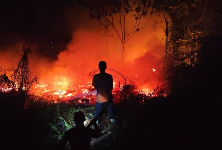 Pemerintah Perkuat Deteksi Dini dan Penegakan Hukum untuk Cegah Karhutla di Papua