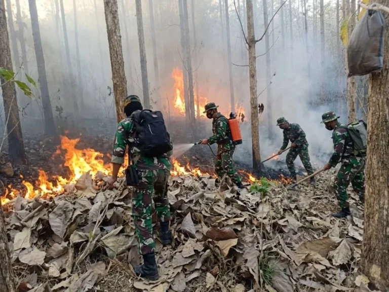 Pemerintah Bergerak Maksimal Atasi Karhutla, Mitigasi Diperkuat Jelang Puncak El Nino