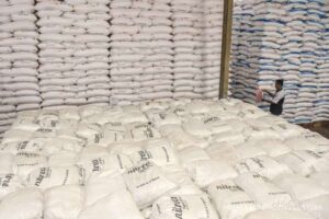 Koperasi Merah Putih Dekatkan Akses Pupuk Subsidi bagi Petani