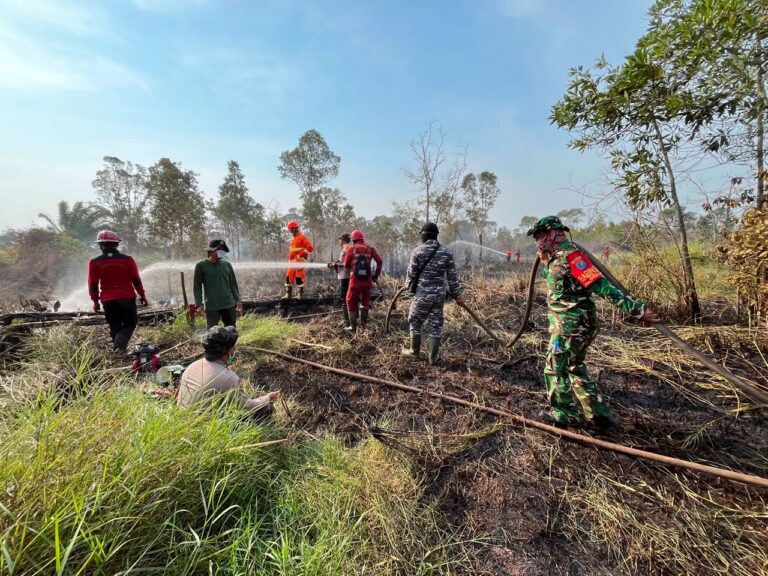 Pemerintah Perluas Operasi Karhutla hingga ke Luar Provinsi Prioritas